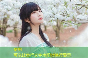 上海的野生动物之旅：松亚的探险